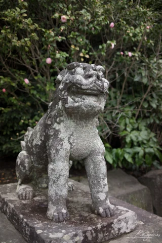 Kamakura - 7