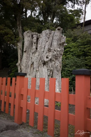 Kamakura - 8