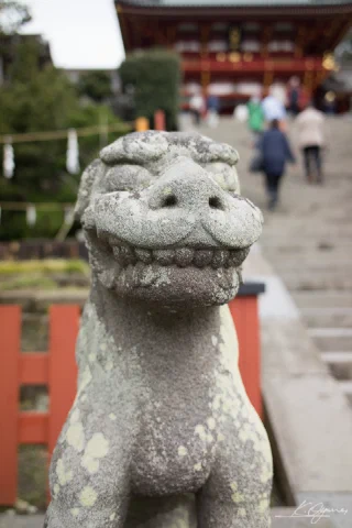 Kamakura - 9