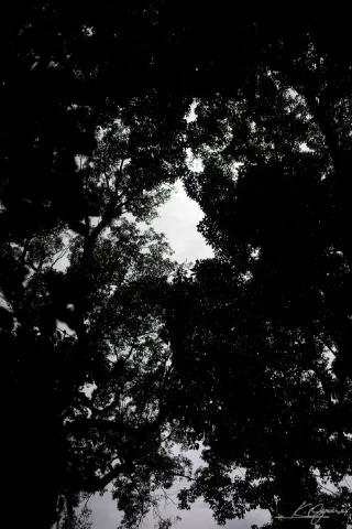 Kamakura - 13