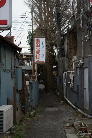 Kamakura - 21
