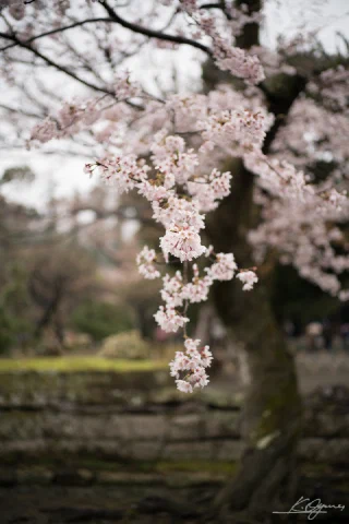 Kitakamakura - 3