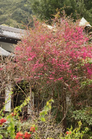 Kitakamakura - 18