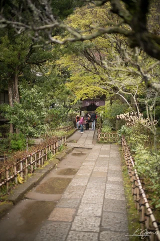 Kitakamakura - 19