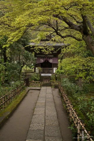 Kitakamakura - 23