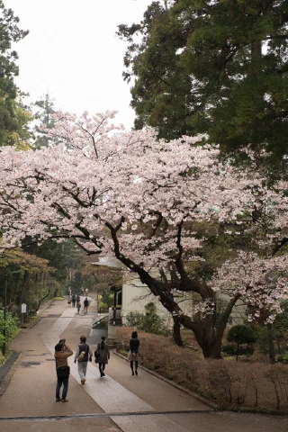 Kitakamakura - 28