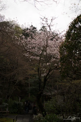 Kitakamakura - 42