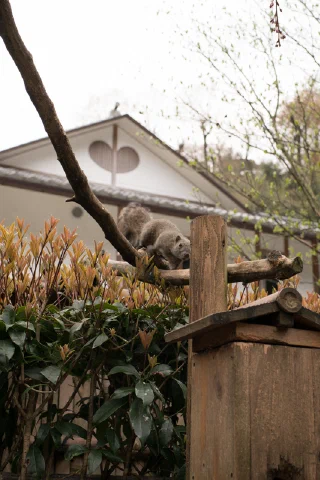 Kitakamakura - 49