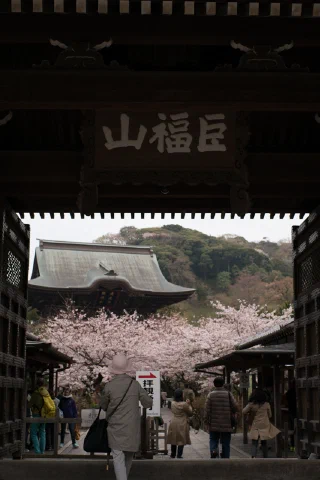 Kitakamakura - 52