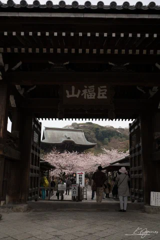 Kitakamakura - 53