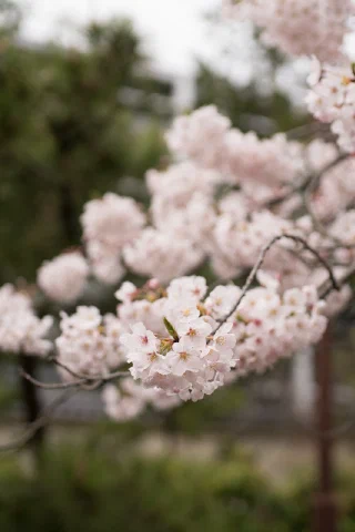 Kitakamakura - 57