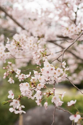 Kitakamakura - 58