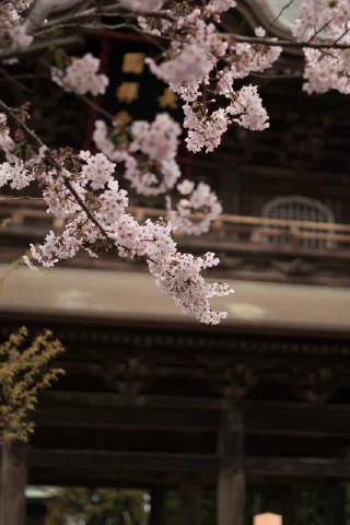 Kitakamakura - 62