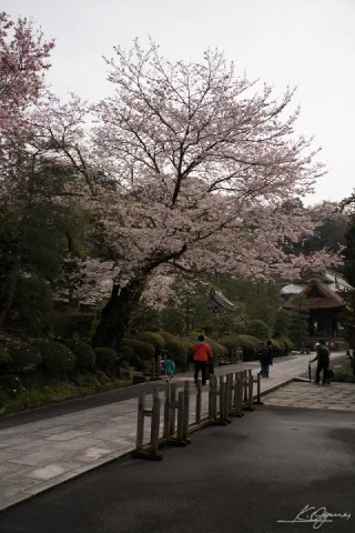Kitakamakura - 65