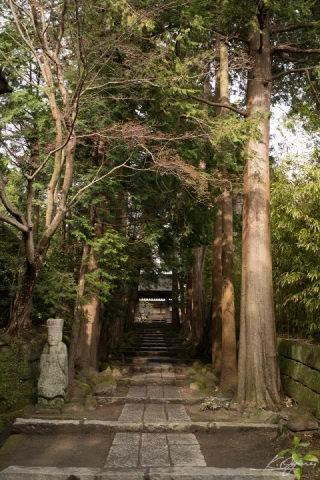Kitakamakura - 68
