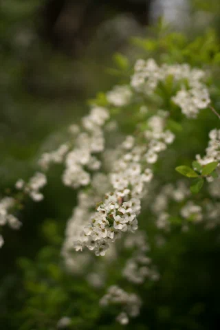 Kitakamakura - 69