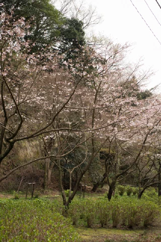 Kitakamakura - 71