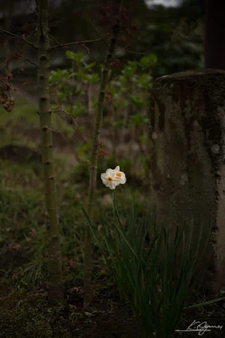 Kitakamakura - 78