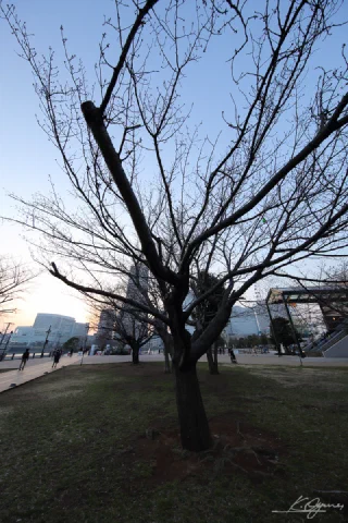 Minatomirai - 19