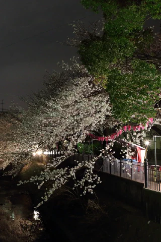 Ooka River - 11