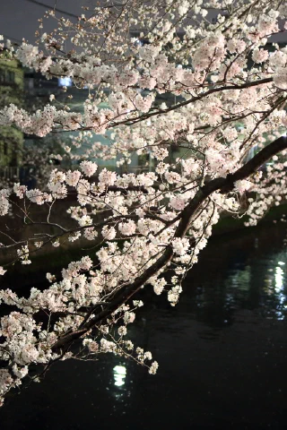 Ooka River - 13