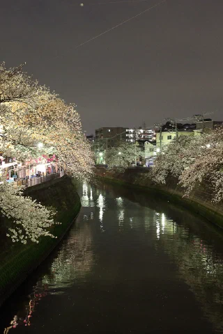 Ooka River - 14