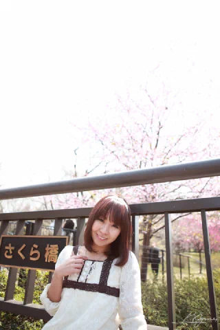 Sakura - 2