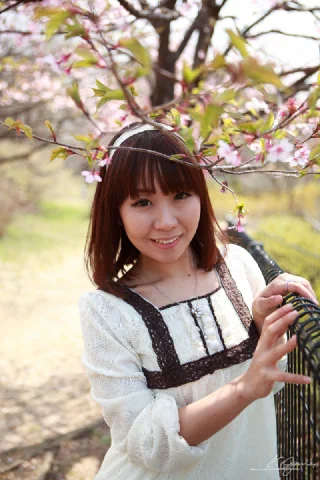 Sakura - 3