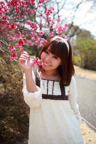 Sakura - 6