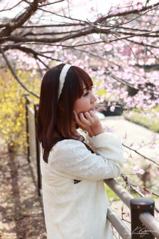 Sakura - 7