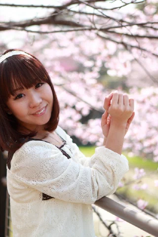 Sakura - 8