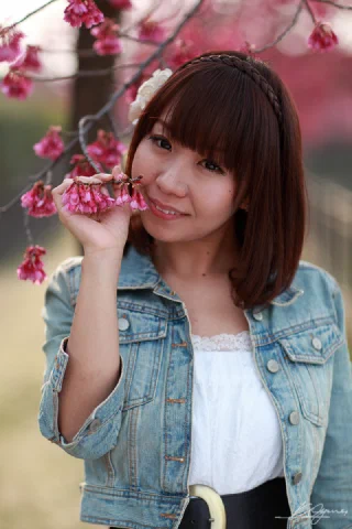 Sakura - 24