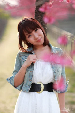 Sakura - 26